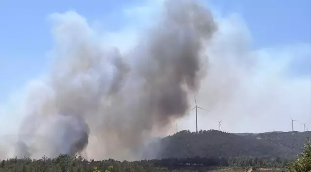 Another forest fire in Çanakkale! Kaz Mountains are under threat.