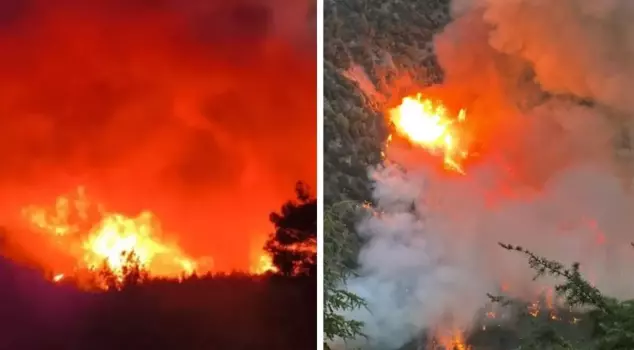 Turkey's lungs are burning! Forest fires have broken out in Hatay and Mersin.