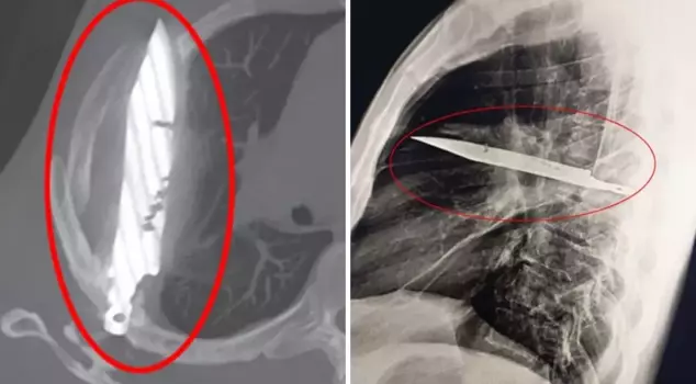 Сиськи салбыраған қара әйелдердің порносы