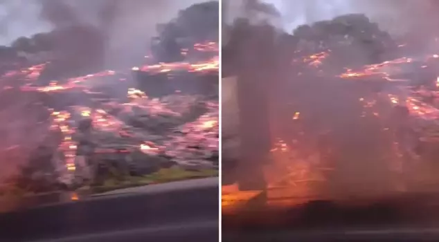 A fire that broke out in a vehicle on the highway spread to the forested area.