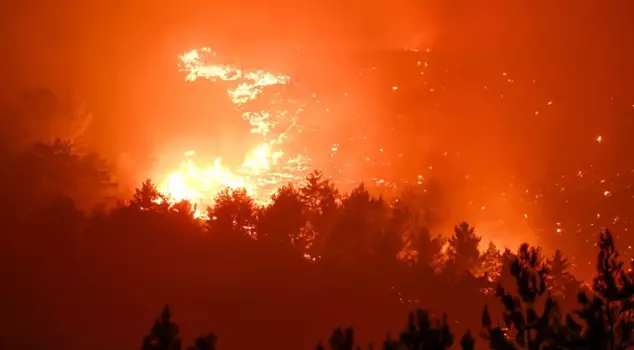 In Mersin, 15,000 acres of forested land have turned to ashes due to workers.
