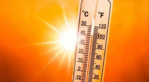 Three people have died in Israel due to extreme heat.