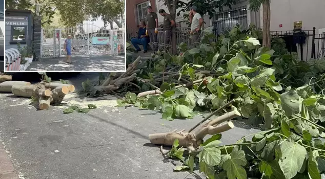 Storm alert in Istanbul! Trees have fallen, Gülhane Park has been closed.