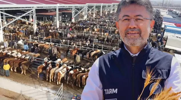 Minister of Agriculture and Forestry Yumaklı: Foot-and-mouth disease has been largely controlled, livestock markets will be opened in 8 provinces.