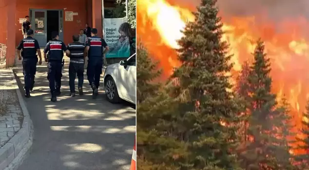 The beekeeper who caused the burning of 80 hectares of forest has been arrested.