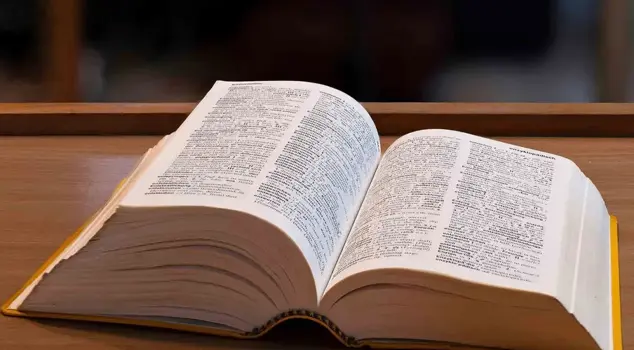 New words have been added to the dictionary: Skibidi, delulu, tradwife.