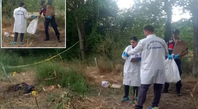 A human skull and bones were found in a cornfield in Düzce.