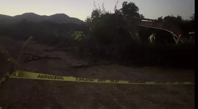 An elderly man lost his life after being trapped under a fallen tree during canal work.