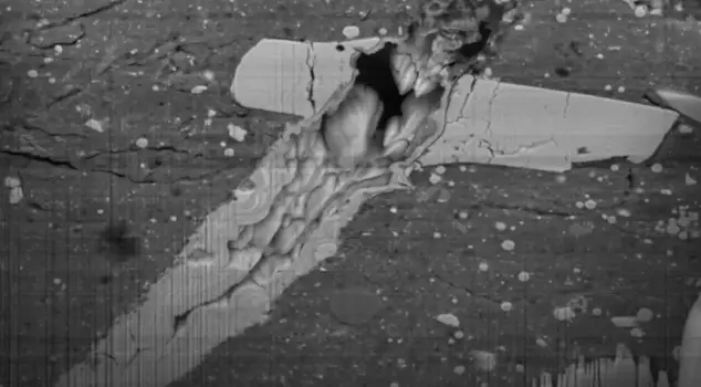 NASA's spacecraft brought back 'stardust'.