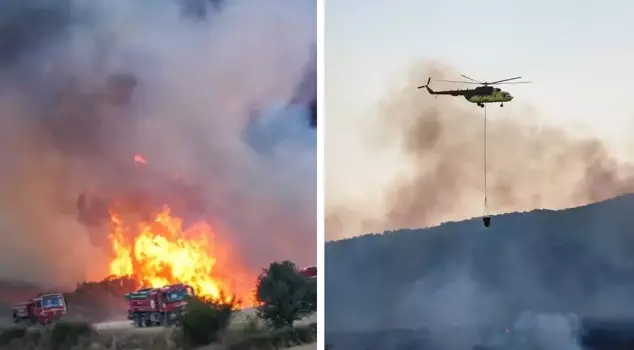A fire that broke out in the field in Balıkesir spread to the forested area.