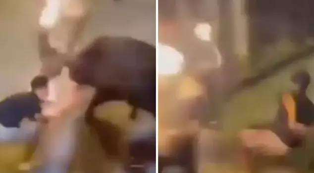 The bull on fire seriously injured a spectator at the festival grounds.