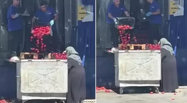 The chain supermarket dumped bins full of tomatoes into the trash.