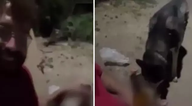 He forced his dog to drink alcohol and laughed.