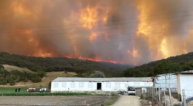 Forest fire in Bursa: Flames advanced towards residential areas, announcements were made from the region.