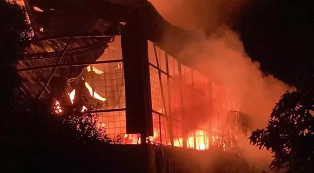 Their house burned down at their son's wedding.