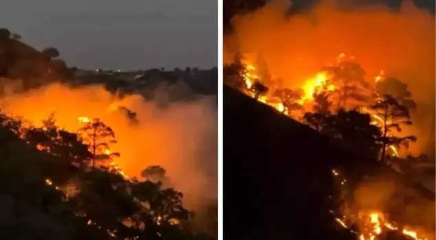 The forest fire that broke out in Denizli spread to Aydın.