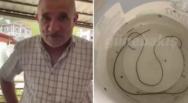 The citizen who saw the object emerging from the water was astonished: 