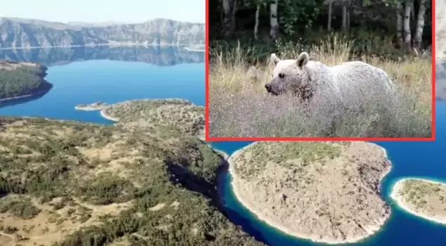 Nemrut Crater Lake has been closed to visitors due to bear attacks.