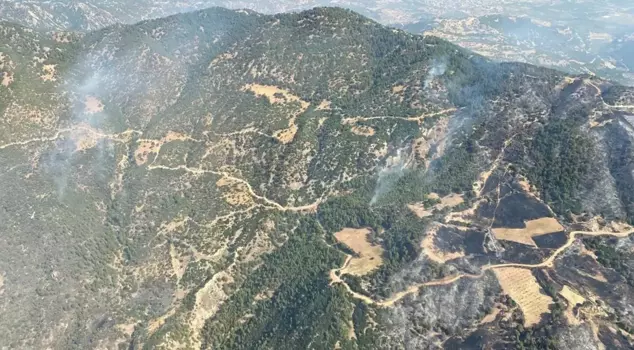 The forest fire in Aydın is on its third day.