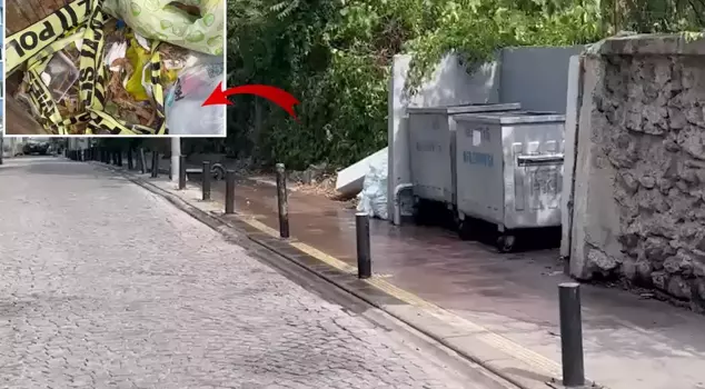 A burned baby corpse was found in the trash in Istanbul.