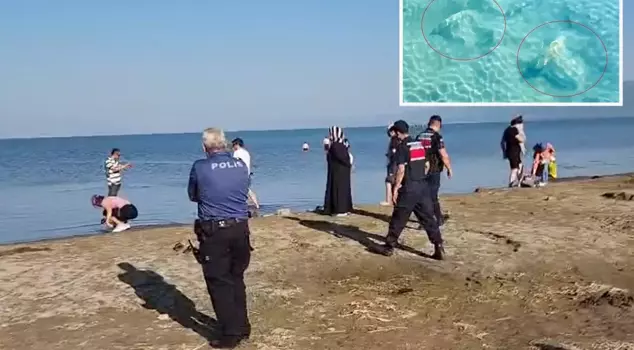 Historical column capitals have been found in Lake Iznik.