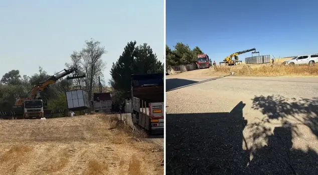 They tried to smuggle goods from the company that was appointed a trustee.