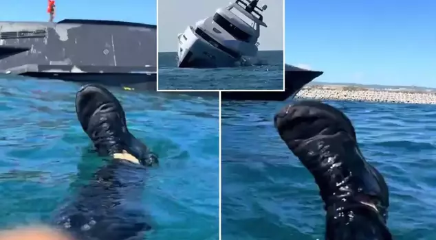 A 45 million yacht sank in 15 minutes, and the person who jumped into the water to save himself started cursing.