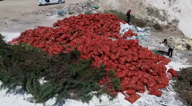 They threw tons of dry onions onto the empty land, and people flocked to see it.