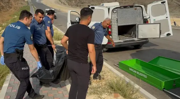 A male corpse was found by the roadside, and one possibility is being considered.