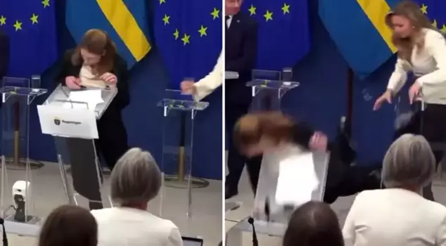 Swedish Health Minister Elisabet Lann fainted during a press conference.