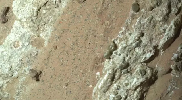 NASA announced that traces of life have been found on Mars.