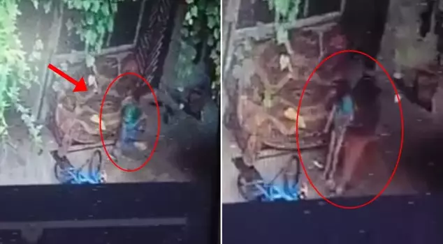 A 3-year-old child who got tangled in a swing rope has lost their life.