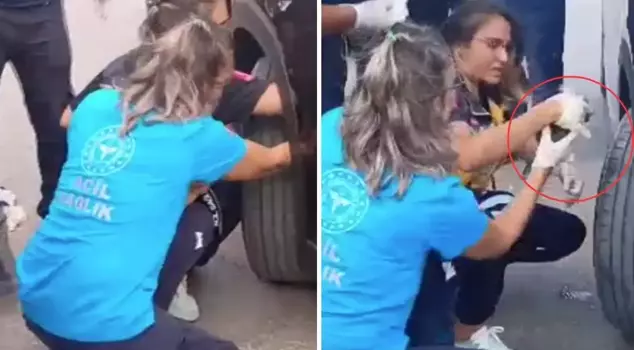 A kitten got stuck in a vehicle in Minister Yılmaz Tunç's convoy.