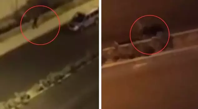In a fight between families, he opened fire on the house with a shotgun! The footage of those moments has emerged.