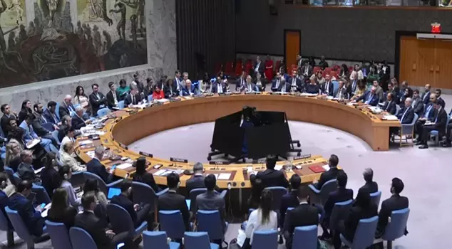 The U.S. vetoes the 'Emergency Ceasefire in Gaza' proposal once again.