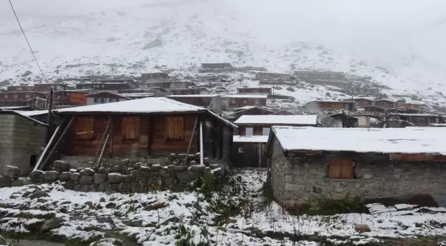The snow came early, and the shepherds are bringing their flocks down to safe areas.