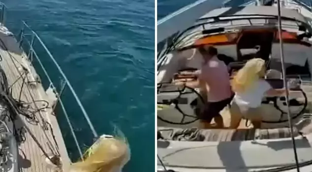 Killer whales sank the luxury tourist yacht! The crew barely escaped with their lives.