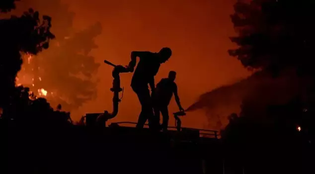 Those who lose their lives in forest fires will be considered martyrs.