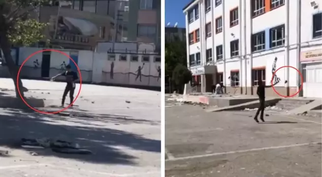 Look at what they did to the school! They broke the windows and tried to set the tree on fire.