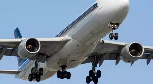 The 13-year-old child hid in the landing gear of the plane and went to India.