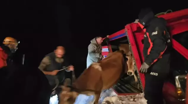 An avalanche fell on vehicles with 15 people inside in the plateau.