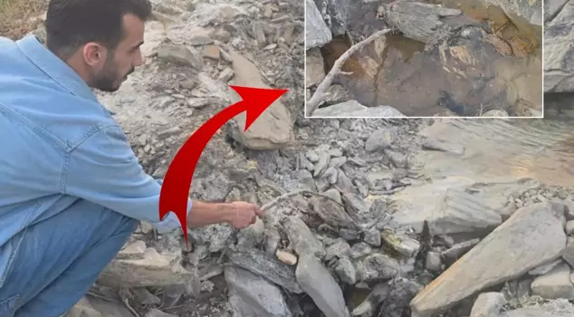 Mysterious valley in Hakkari! It brings healing to people and death to animals.
