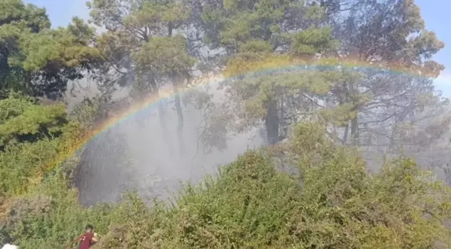 The water dropped from the plane during the forest fire created a rainbow.