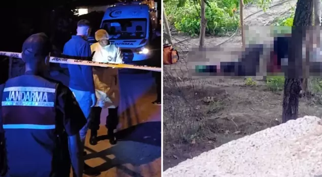 He stabbed and killed his mother and father.