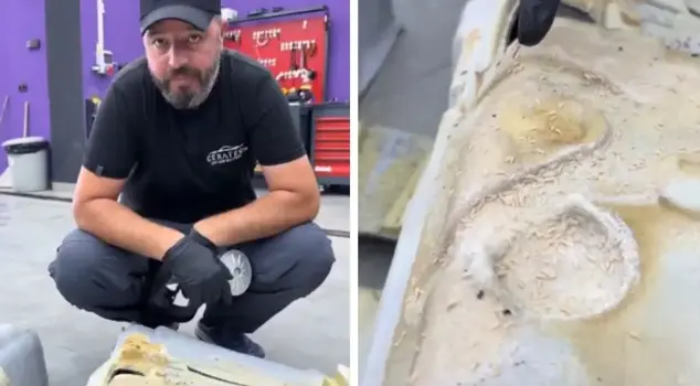 The car wash removed the upholstery from the vehicle, and the sight was nauseating.