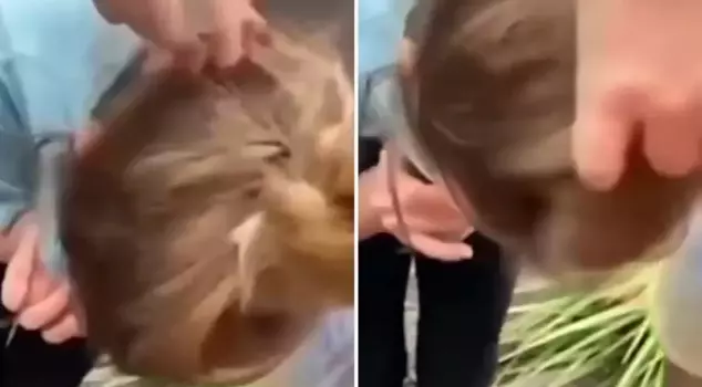 A squirrel came out of the little child's hair.