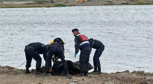 A male corpse was found in the Meriç River.