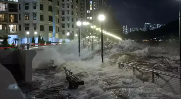 Typhoon Bualoi claimed lives in Vietnam: 51 people lost their lives.