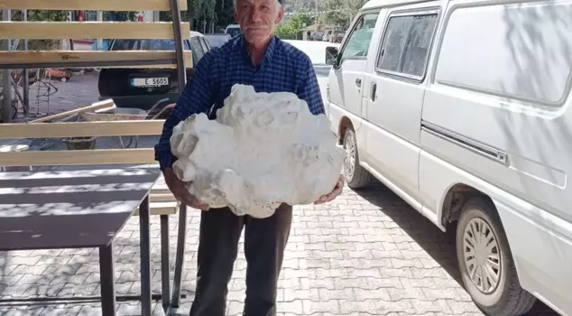 It was found in a village in Konya! At first, it thought it was a stone, but when it got closer, it froze in place.