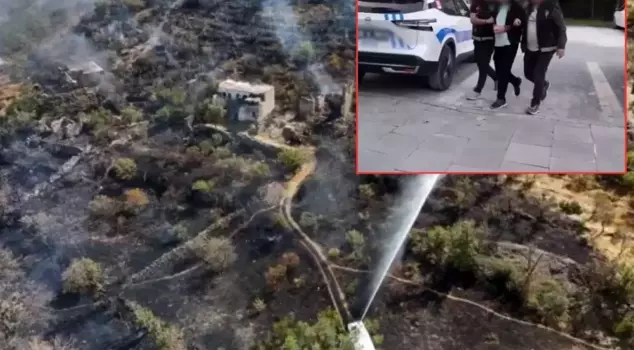 The person who set the forest on fire while grilling eggplants has been caught.